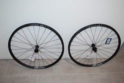 DT Swiss XM 1700 29" Boost XD Wheelset 6 Bolt 350 Hubs 12x148 10x110 Rims Bike