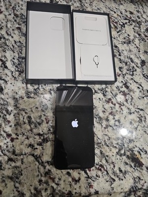 *Apple iPhone 12 Pro Max 256GB Pacific Blue Unlocked*