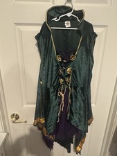 Spirit Halloween Disney Hocus Pocus Winifred Sanderson Costume Adult Size M 8-10