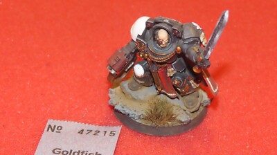 Warhammer 40k Black Templars Space Marines Captain in Terminator Rüstung bemalt