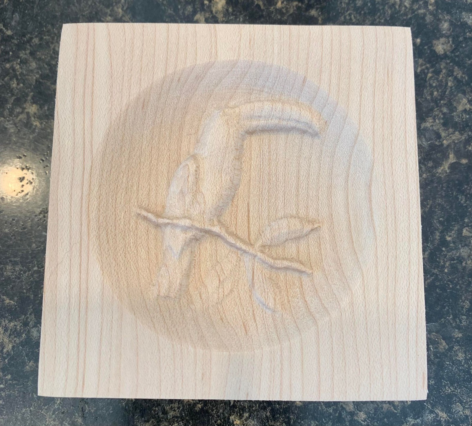 Toucan Tropical Bird Engraving Trim Wood Corner Trim Block Door Trim Window Trim