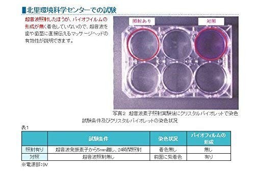 Smile X 1.6 MHz ultrasonic electric toothbrush AU-300D 100V 50/60Hz - Picture 5 of 7