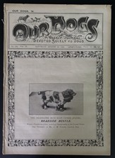 Antique 1900 August Our Dogs Weekly Journal Cocker Spaniel Dog Magazine 14x 10