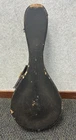 Picture 15 of 15