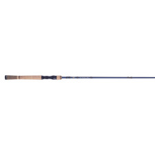 Fenwick All Saltwater Fishing Rods & Poles for sale | eBay