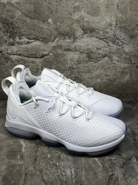 lebron xiv low