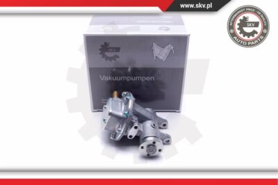 Vacuum Pump Skv for Citroen C15 Jumper Zx Ford Granada II Peugeo