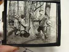 vintage magic lantern slide---tapping trees for maple syrup 3 little kids, man