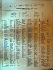 A Landowners' Directory of Livingston County NY 1916 Rand McNally