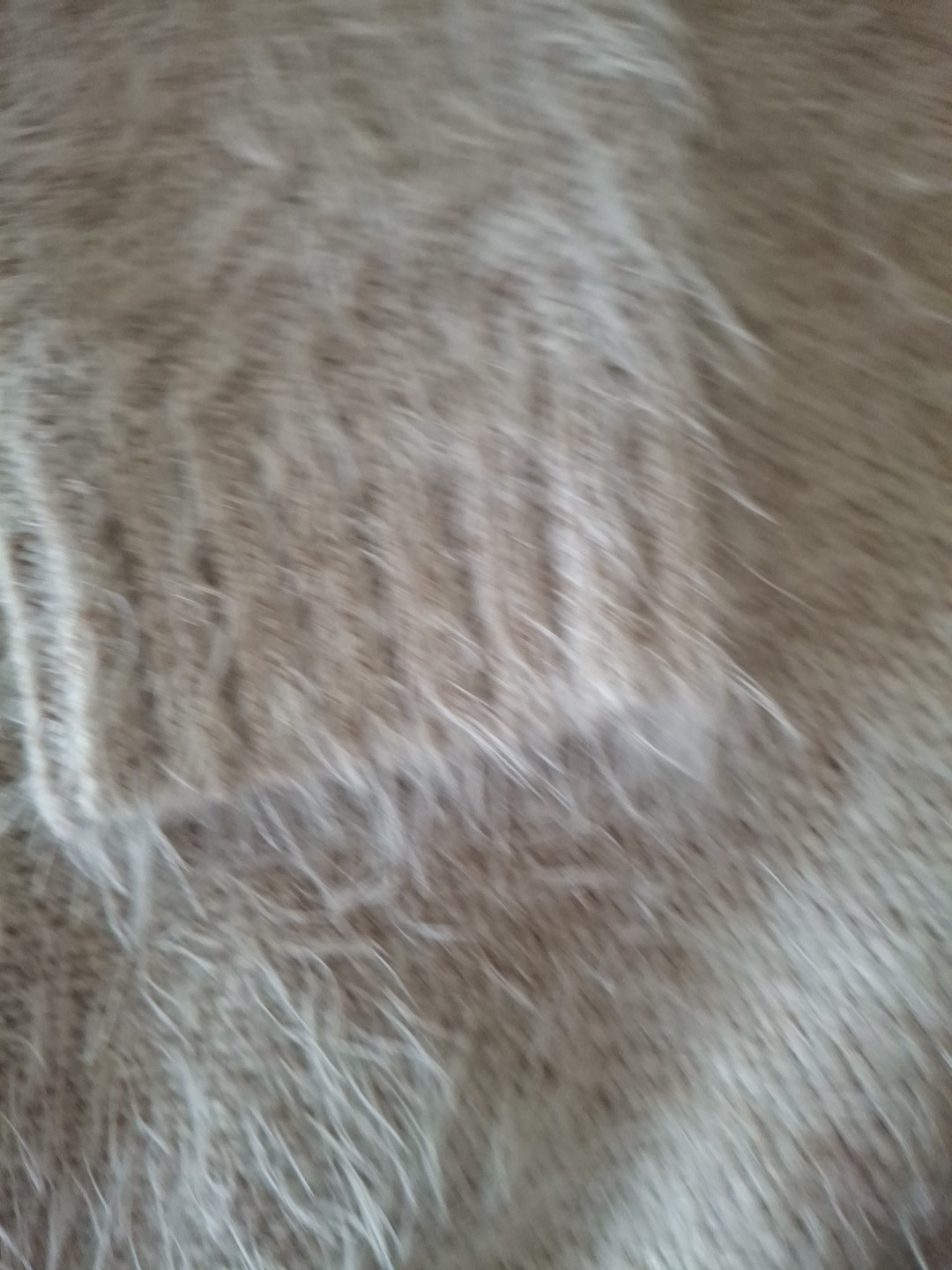 bcbgeneration Sweater - image 5