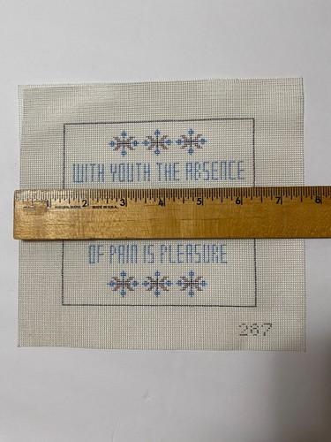 Funny Quote Humor Hand-Painted Needlepoint Canvas Youth & Old Age Novelty - Picture 6 of 7
