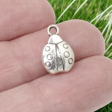 Antique Silver Ladybug Charms 10-Pack Double-Sided Good Luck 10x14mm Metal