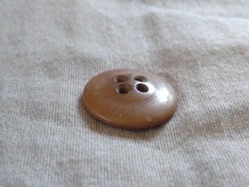 Antique Rare Concentric Circles Mesh Design Vegetable Ivory Button. - Picture 9 of 12