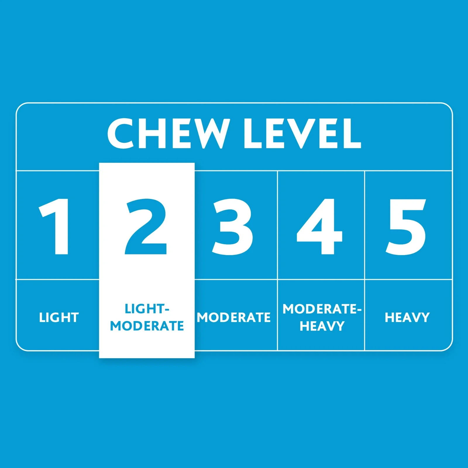 Vibrant Life 5pk EMOTICON LATEX DOG TOY