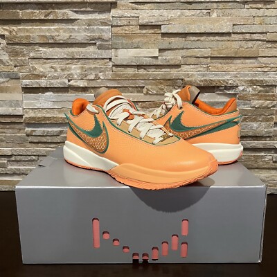 Size 11.5 Mens - DS Nike Lebron 20 x FAMU Florida A&M Orange - FN8263-800 - NEW