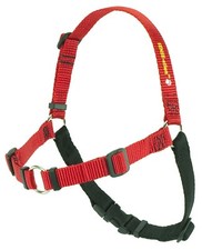 SENSE-Ation No-Pull Dog Harness - Red With Black Small By Softouch Small