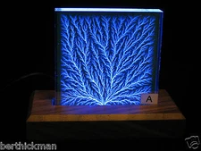 4" x 4" x 1" Captured Lightning Lichtenberg Figure Tree & Walnut Lighted Base