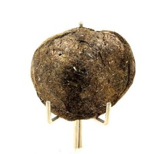 Biotita. 84,58 CT. Montaña Freita, Arouca, Aveiro, Portugal.