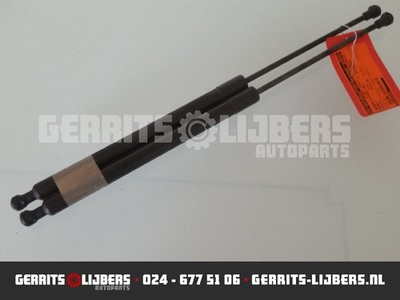 GASDRUCKFEDERN SET HINTEN Renault Scénic III (JZ) 2011 904500004R