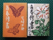 Ozaki Shiro Seishun Densho Novel Box Painting 1953 Ikeda Shoten