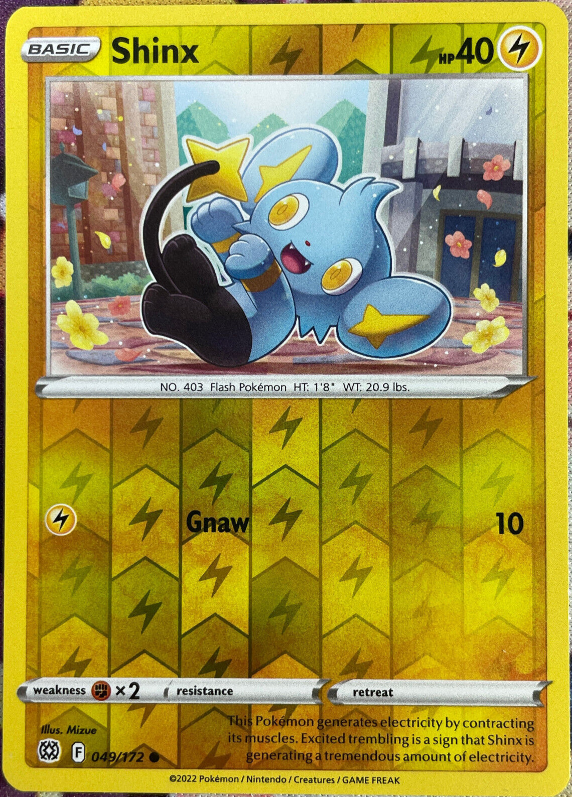 Shinx Reverse Holo - 049/172 - Brilliant Stars Pokemon 2022