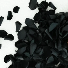 200Pcs Dried Real Black Rose Petals, Preserved Flower Petals 1.75Oz for Gifts We