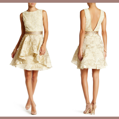 NWT $565 Nicole Miller V-Back Flare Dress in Champagne/Gold [SZ 10 ] #G36 |  eBay