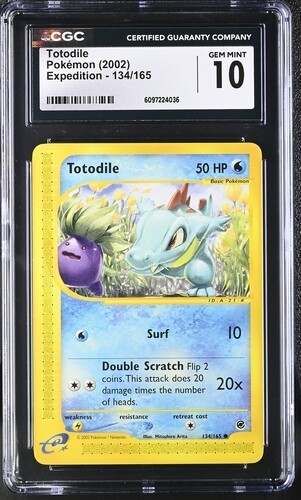 Totodile graded CGC 10 for sale on eBay