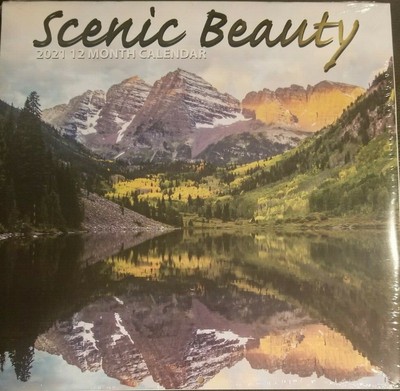 Scenic Beauty 12 Month 2021 Wall Calendar 12"X12 ...