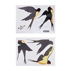 Wall Stickers Modern Home Decor -/ Bird Wall Stickers ,One Set =5 Pieces.