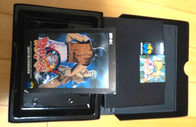 SNK Neo Geo AES ART OF FIGHTING 2 Neogeo