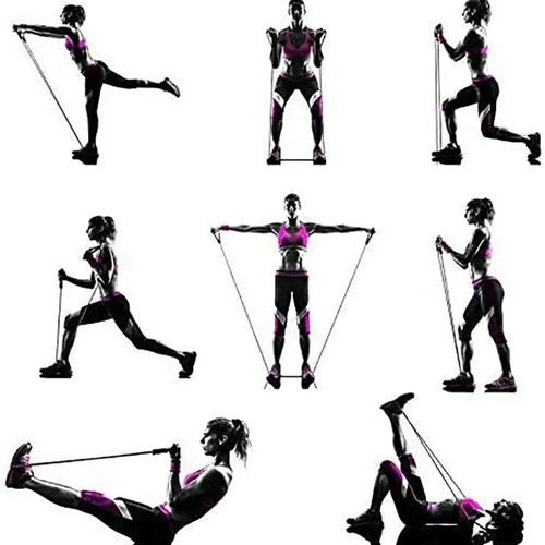 Fasce di Resistenza con Manici, Fasce Fitness, Fasce di Allenamento con Manici per Mä - Foto 4 di 18