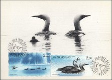 Black-Throated Arctic Loon Gavia Arctica Water Bird Finland FDC Maxi Card 1993