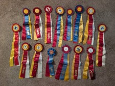 Horse Show Equestrian Champion Reserve Champion 21&frac12;" Lot of 15 Award Ribbons