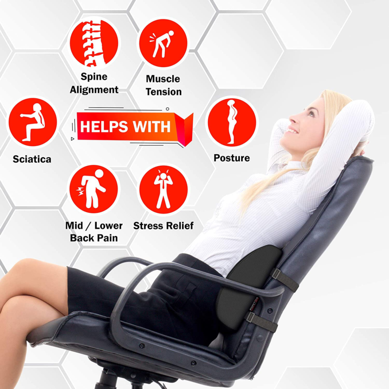 FORTEM Lumbar Support for Office Chair, Back Pillow for Car, Memory