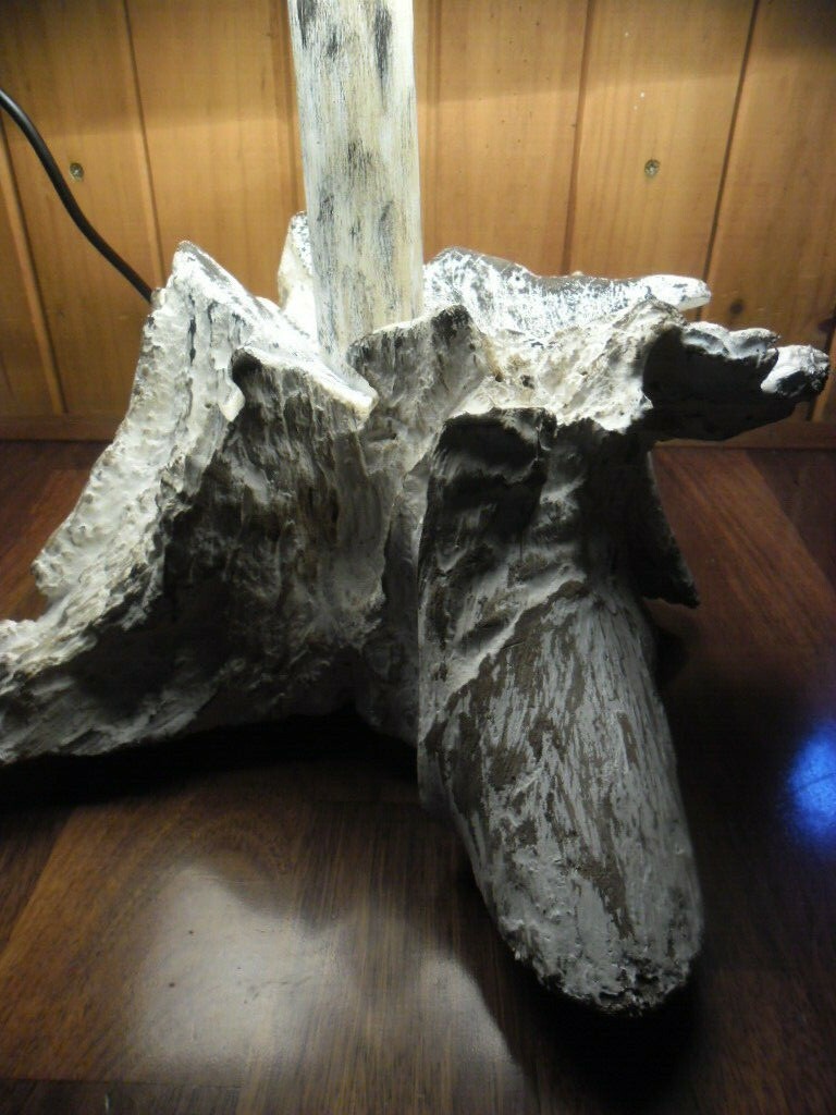 Picture 8 of 12