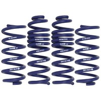 H&R Tieferlegungsfedern FüR Mercedes C-Klasse S205 / A205 Lowering Springs