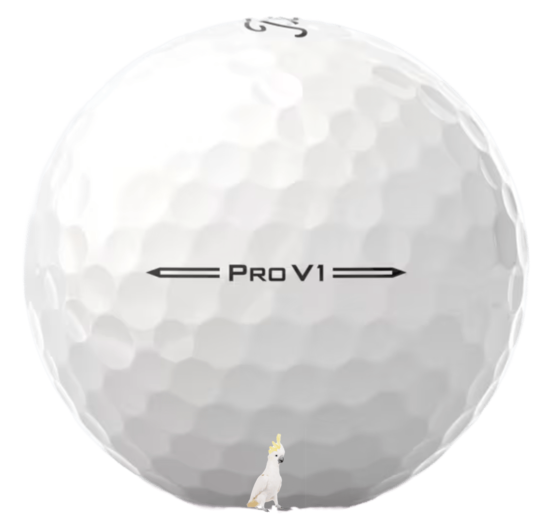 36 Titleist Pro V1 2024 5A Used Washed Golf Balls Pro V1 2024 | eBay