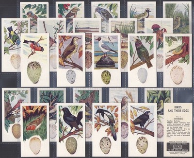 LYONS (EIS & TEE) - KOMPLETTES SET - VÖGEL & IHRE EIER 1962 (25 KARTEN) TOP