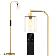 Industrial Floor Lamp with Glass Shade, Modern Dimmable Floor lamp with Remot...