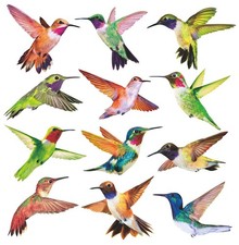 Bird Window Clings Anti Collision Decals Hummingbird Set 12 Glass Strike Prev...