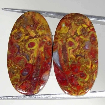 24.50Cts Natural Red Palm Root Agate Oval Pair Cabochon Loose Gemstone 13x24x4mm
