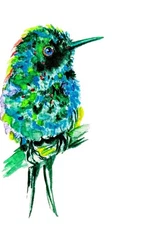 Colorful Emerald  hummingbird art,originalWatercolor painting,nature lover gift 