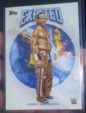 2025 TOPPS EXALTED WWE SHAWN MICHAELS!