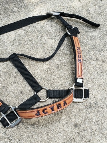 JCYRA 2006 HORSE BRIDLE - Picture 3 of 6