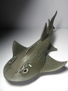 shark ray toy