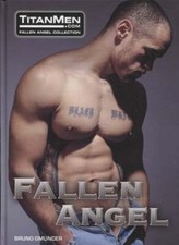 Brian Mills / Fallen Angel 1st Edition 2002