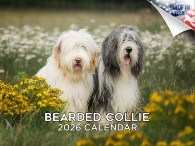 Bearded Collie Dog Breed Calendar 2026 12x18 Made in USA