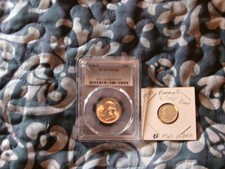  on The Hot Collector