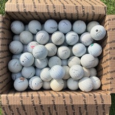 100 Titleist Pro V1 V1x Shag Golf Balls Assorted Grades